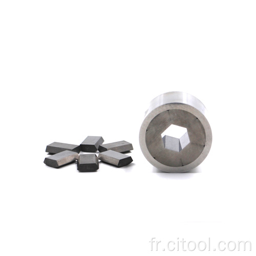 Tungsten en carbure segmenté Hex Die et H13 Case